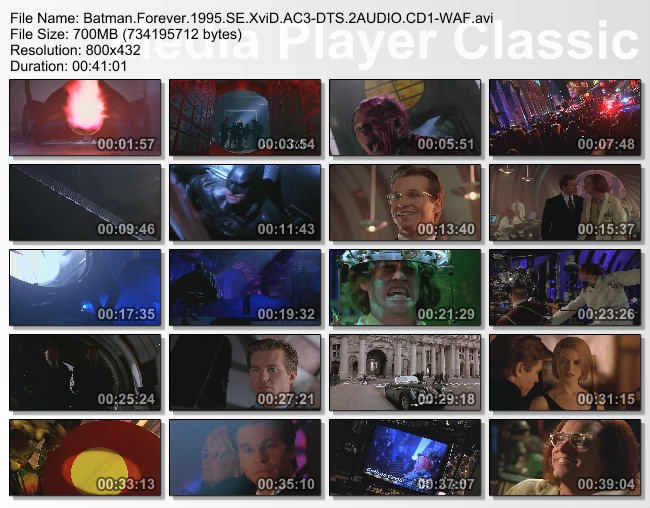 Batman.Forever.1995.SE.XviD.AC3-DTS.2AUDIO.CD1-WAF