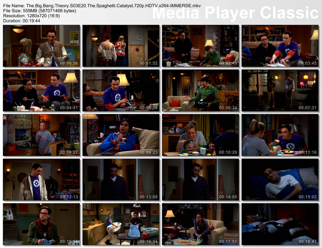 The big bang theory s03e21 the plimpton stimulation hdtv xvid fqm avi